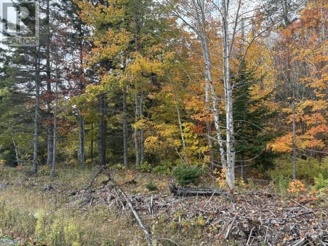 Property 7 of 13 of West Middle River Road