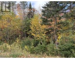West Middle River Road, West Middle River, NS B0E1B0 Photo 10