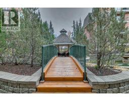 302, 2320 Erlton Street Sw, Calgary, AB T2S2V8 Photo 25