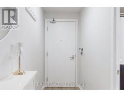 817 - 352 Front Street W, Toronto, ON M5V0K3 Photo 9