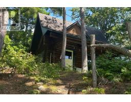 1 Butterfield Island, Rideau Lakes, ON K0G1L0 Photo 10