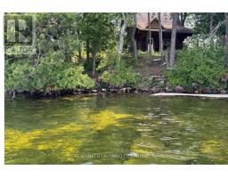 1 Butterfield Island, Rideau Lakes, ON K0G1L0 Photo 11