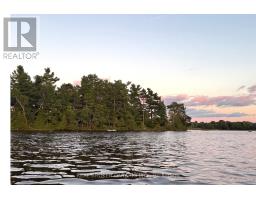 1 Butterfield Island, Rideau Lakes, ON K0G1L0 Photo 30