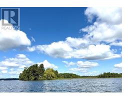 1 Butterfield Island, Rideau Lakes, ON K0G1L0 Photo 33