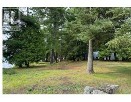 1 Butterfield Island, Rideau Lakes, ON K0G1L0 Photo 38