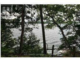 1 Butterfield Island, Rideau Lakes, ON K0G1L0 Photo 39