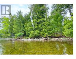 1 Butterfield Island, Rideau Lakes, ON K0G1L0 Photo 42