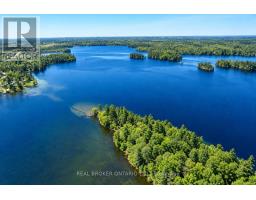 1 Butterfield Island, Rideau Lakes, ON K0G1L0 Photo 43