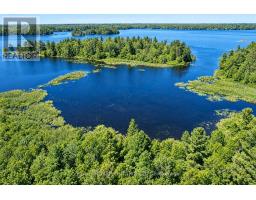 1 Butterfield Island, Rideau Lakes, ON K0G1L0 Photo 44