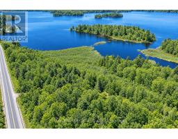 1 Butterfield Island, Rideau Lakes, ON K0G1L0 Photo 45