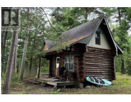 1 Butterfield Island, Rideau Lakes, ON K0G1L0 Photo 6