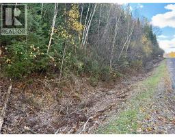 Vacant lot Restigouche River Road, photo 6