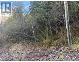 Vacant lot Restigouche River Road, photo 3