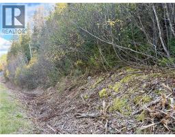 Vacant lot Restigouche River Road, photo 4