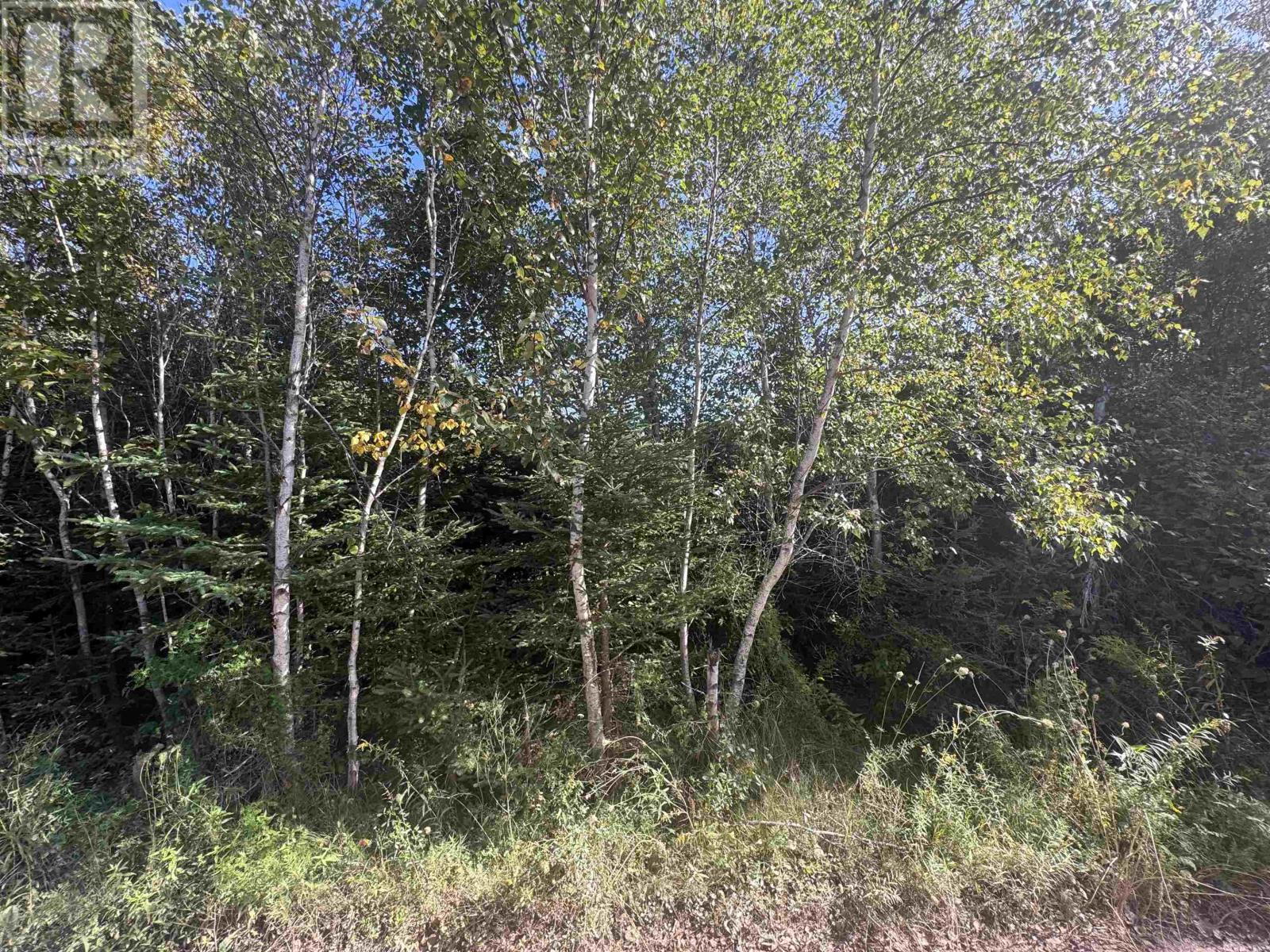 W-17 Cove View photo 2