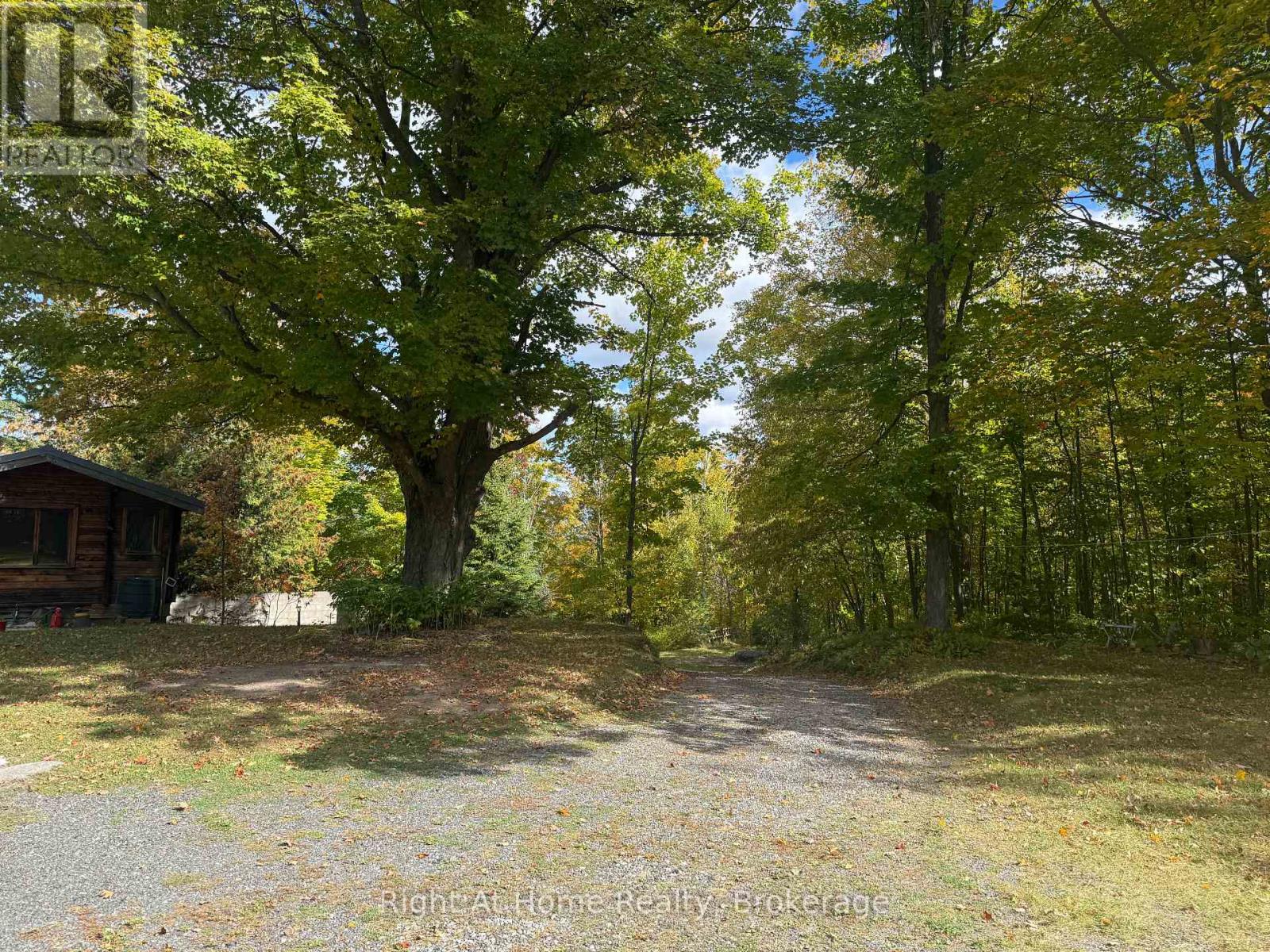 570 Meadowview Road, Kawartha Lakes, ON photo 5