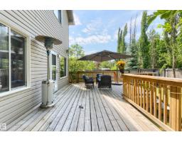 1075 Mckinney Gr Nw, Edmonton, AB T6R3S5 Photo 48