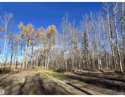 3314 Rail Grade Rd, Rural Lac Ste  Anne County, AB T0E0A0 Photo 27