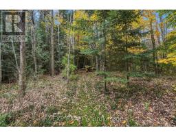 49 Blue Heron Drive, Mono, ON L9W5K5 Photo 44