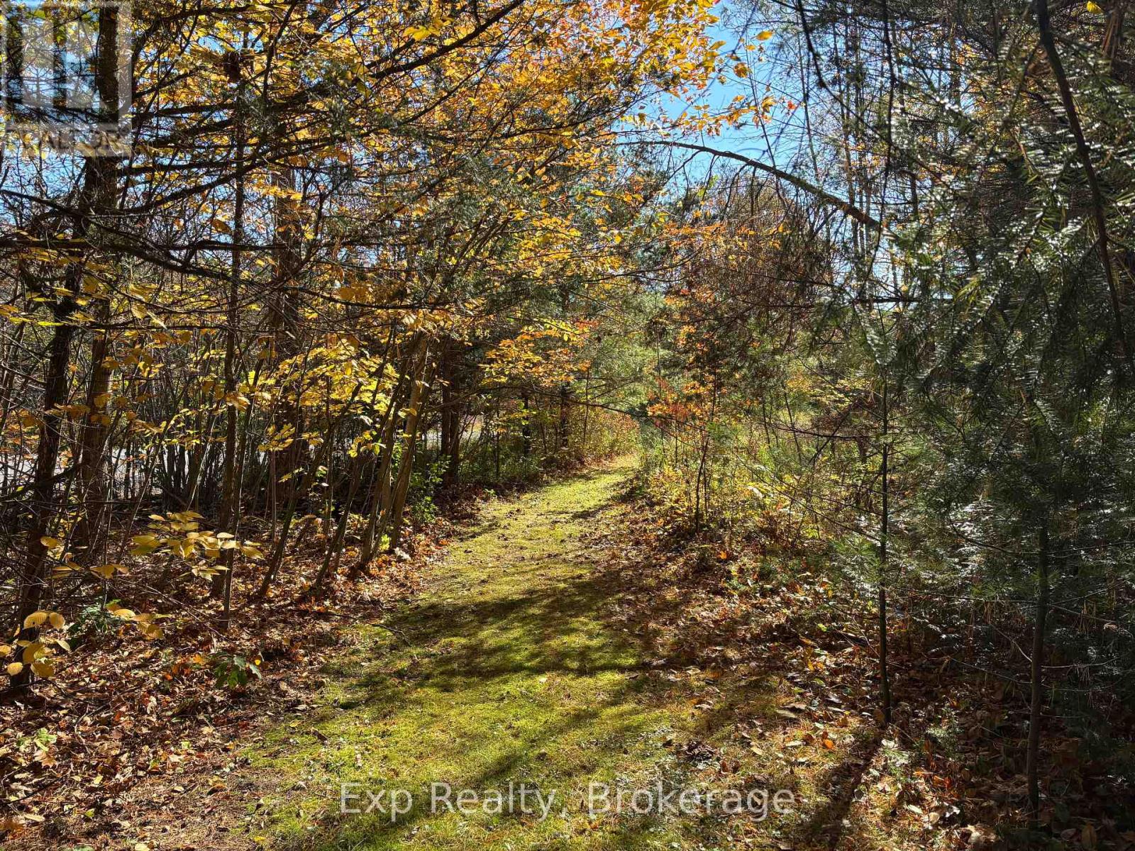 794 Pinegrove Road, Greater Napanee, ON photo 7