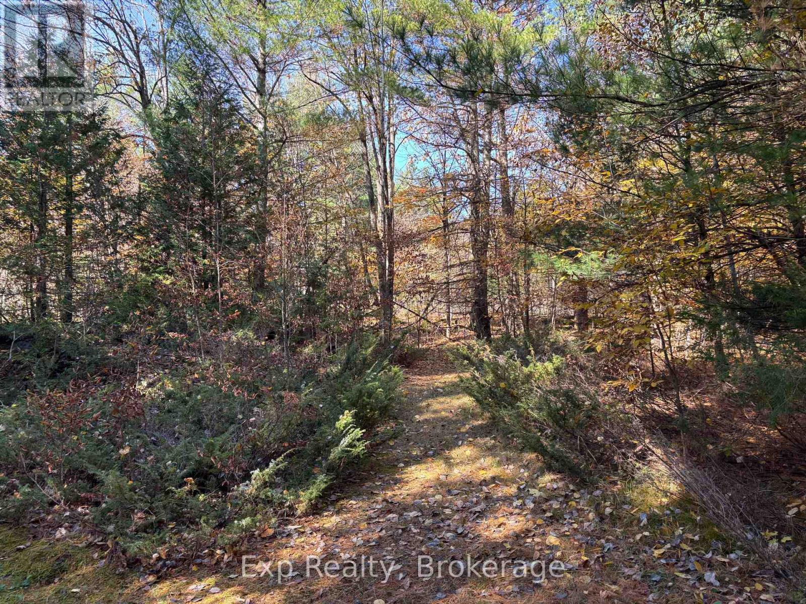 794 Pinegrove Road, Greater Napanee, ON photo 8