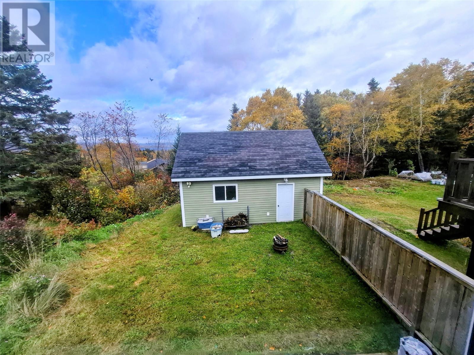 31 Forest photo 5