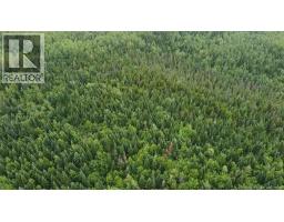 OFF Drurys Cove Road, photo 2