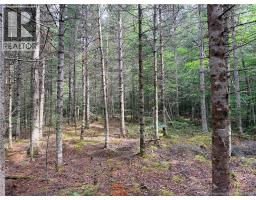 OFF Drurys Cove Road, photo 5