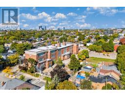41 Manning Avenue, Toronto, ON M6J2K3 Photo 29