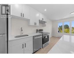 207 Carillon Street, Ottawa, ON K1L5X7 Photo 14