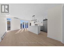207 Carillon Street, Ottawa, ON K1L5X7 Photo 21