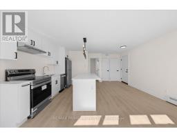 207 Carillon Street, Ottawa, ON K1L5X7 Photo 22
