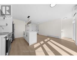 207 Carillon Street, Ottawa, ON K1L5X7 Photo 24