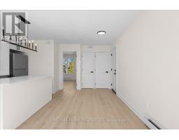 207 Carillon Street, Ottawa, ON K1L5X7 Photo 25