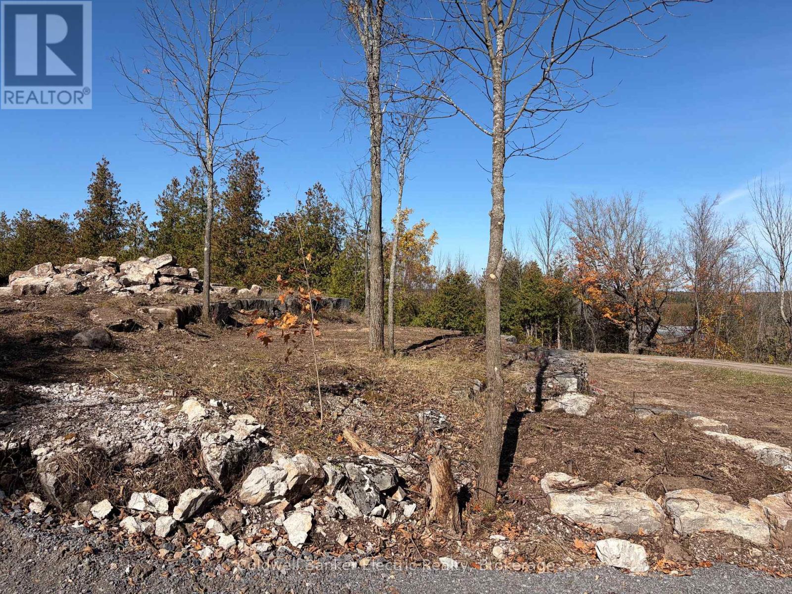 237 Tower Road, Madoc, ON photo 6