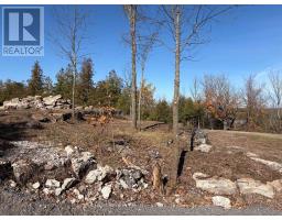 237 Tower Road, Madoc, ON K0K1Y0 Photo 6