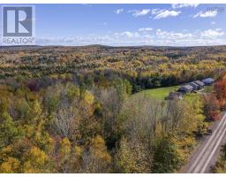Lot East Torbrook Road, South Tremont, NS B0P1R0 Photo 7