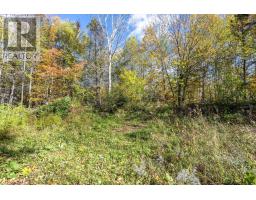 Lot East Torbrook Road, South Tremont, NS B0P1R0 Photo 6