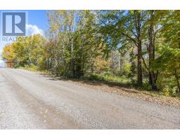 Lot East Torbrook Road, South Tremont, NS B0P1R0 Photo 10