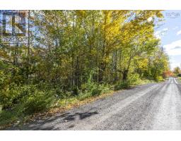 Lot East Torbrook Road, South Tremont, NS B0P1R0 Photo 9