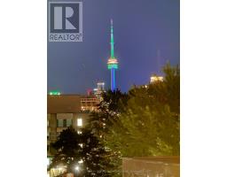 310 - 45 Dovercourt Road, Toronto, ON M6J3C2 Photo 25