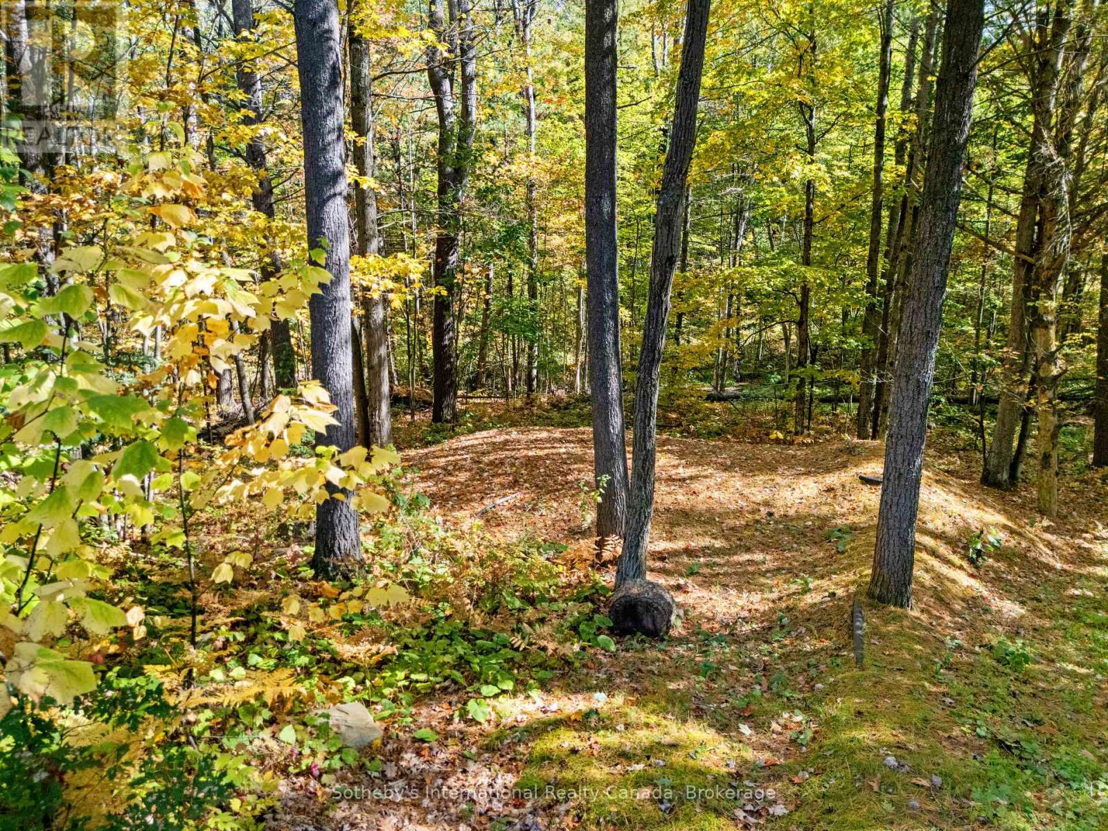 334 MUSQUOSH RIVER SHR - 20