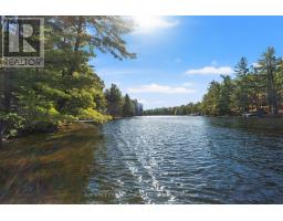 334 Musquosh River Shr, Georgian Bay, ON P0C1H0 Photo 36