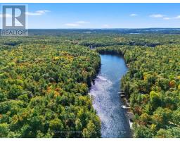 334 Musquosh River Shr, Georgian Bay, ON P0C1H0 Photo 41