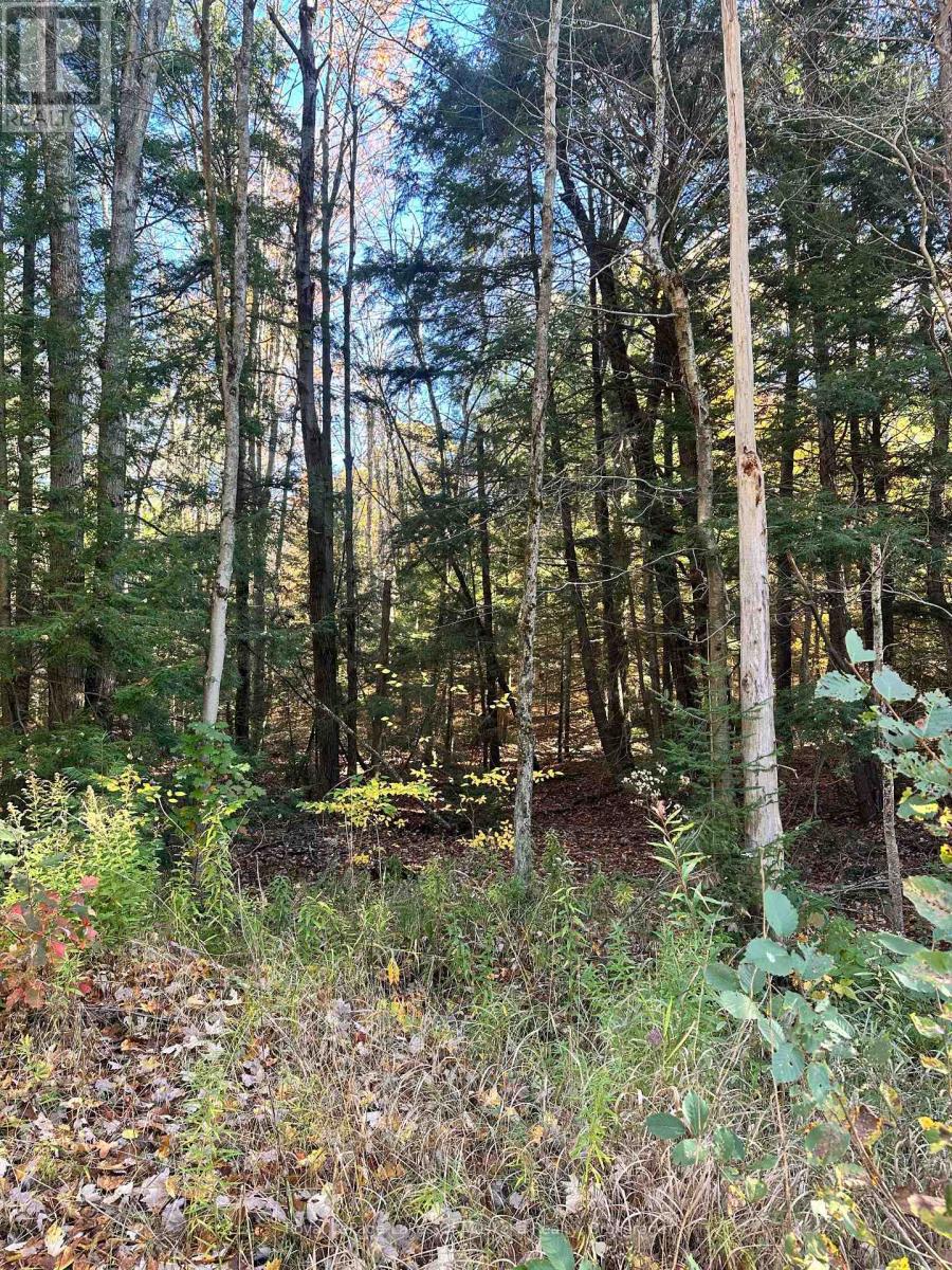 1101 Doe Lake photo 2