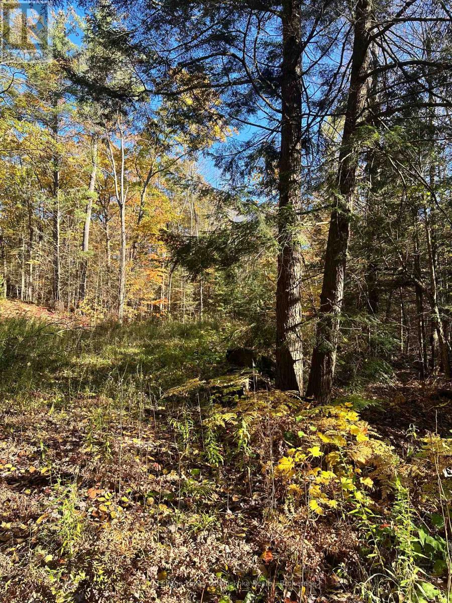 1101 Doe Lake photo 5