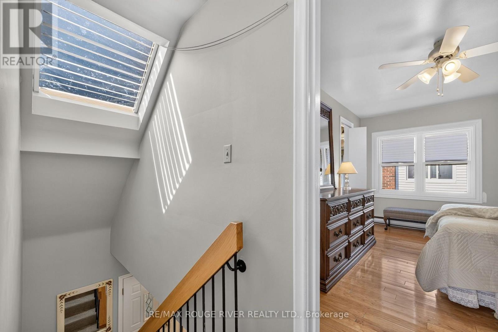 38 Singleton Rd Road, Toronto, ON photo 19
