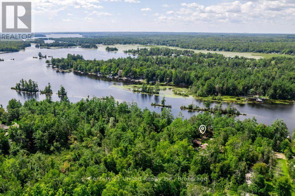 41 Hall Crescent, Trent Lakes, ON photo 3