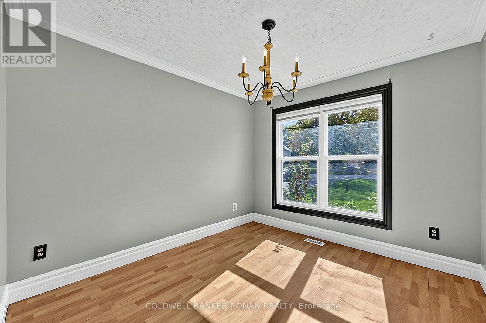 130 Queen Street, New Tecumseth photo 18