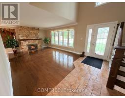 162 Grace Road, Tecumseh, ON N8N2G7 Photo 23